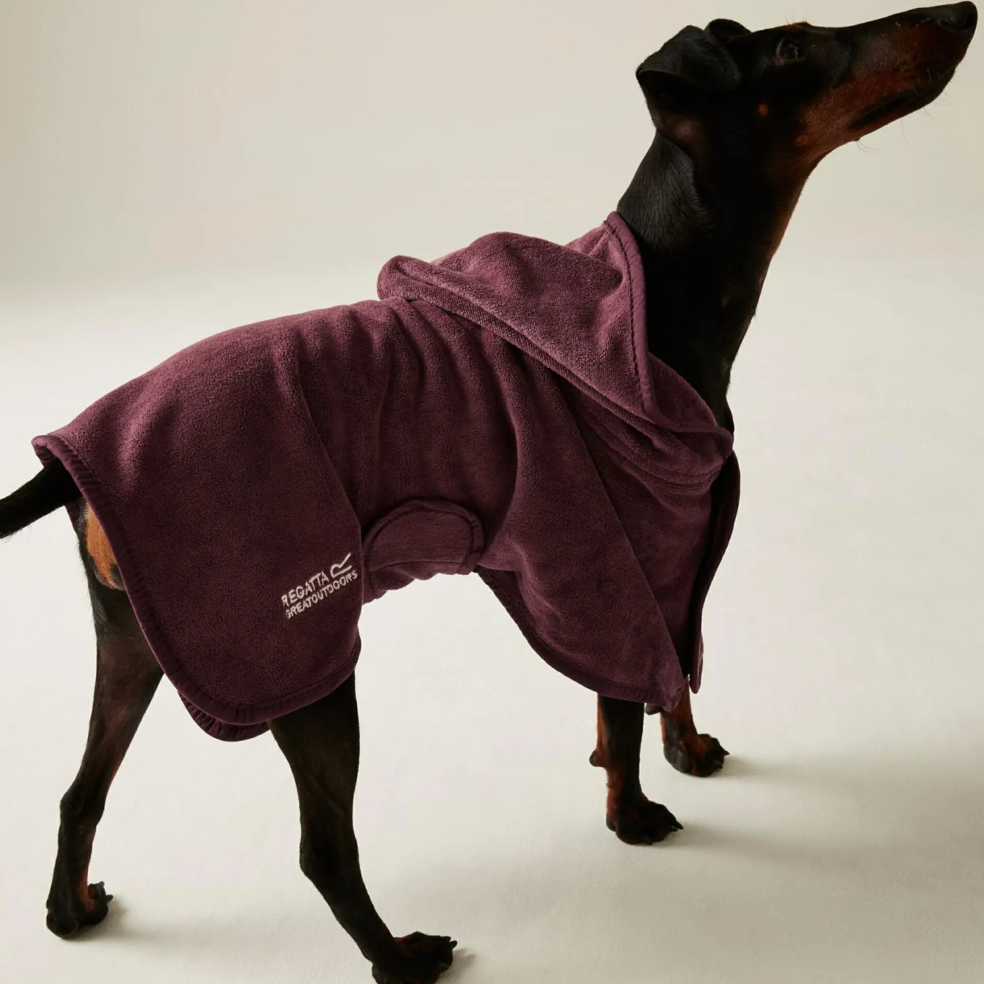 Regatta Dog Coats|Camping<Dog Drying Coat |