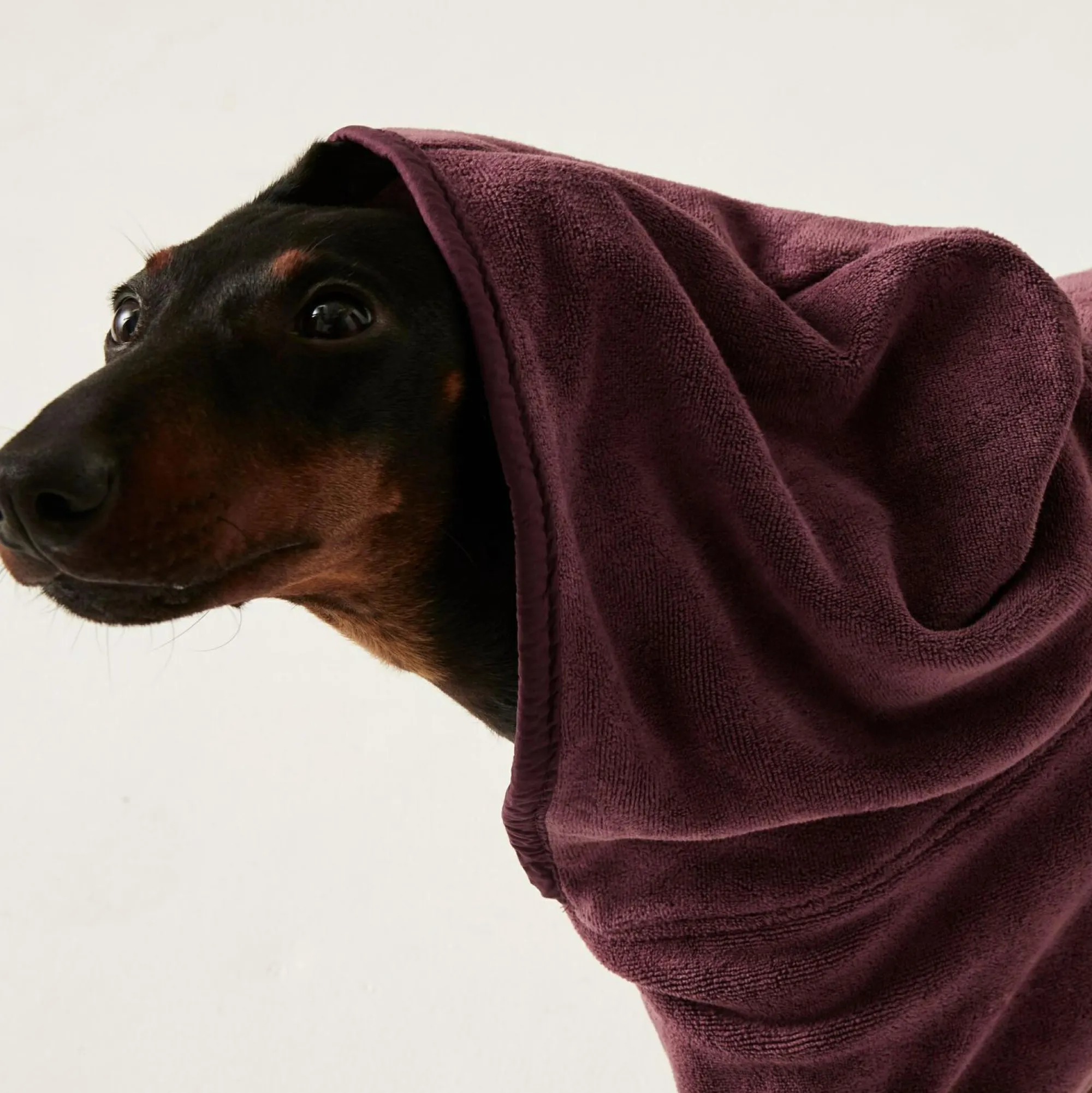 Regatta Dog Coats|Camping<Dog Drying Coat |