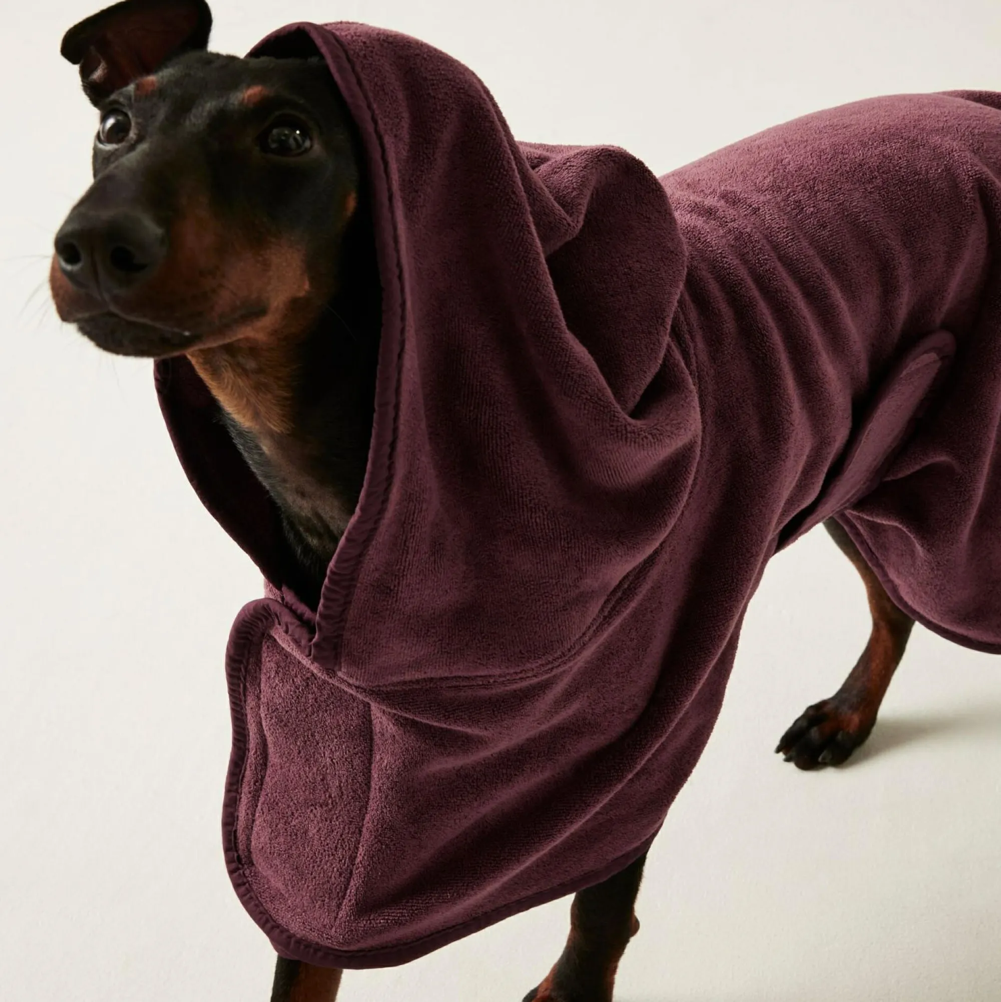 Regatta Dog Coats|Camping<Dog Drying Coat |