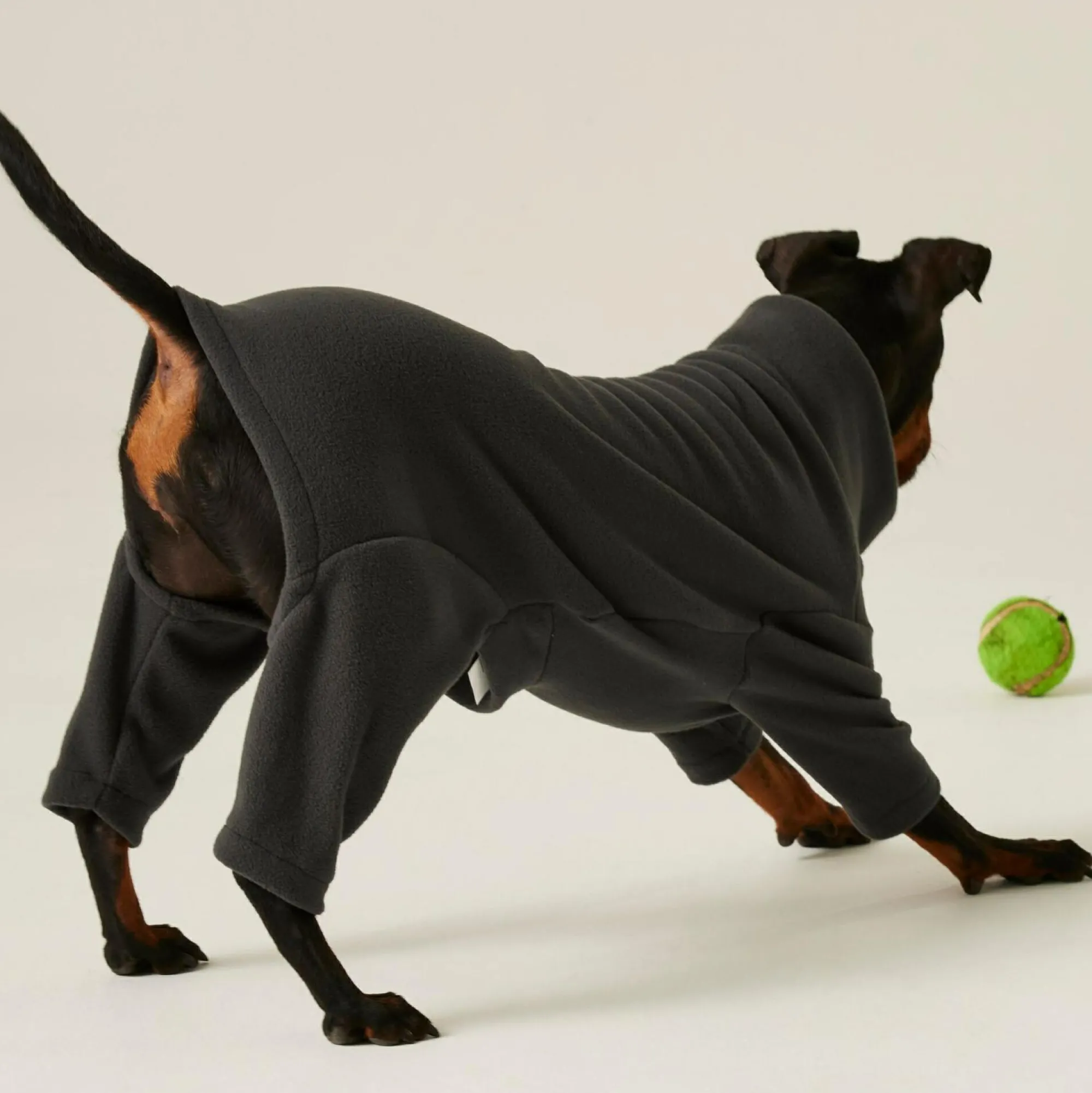 Regatta Dog Coats|Camping<Dog Mud Suit |