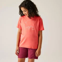 Kids Regatta Tops|Tops & T-Shirts<Kids' Alvarado IX T-Shirt |