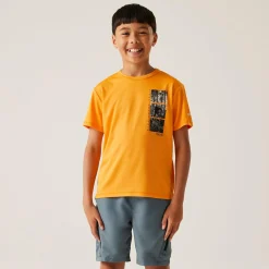 Kids Regatta Tops|Tops & T-Shirts<Kids' Alvarado IX T-Shirt |