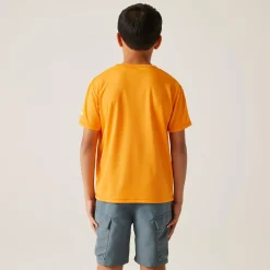 Kids Regatta Tops|Tops & T-Shirts<Kids' Alvarado IX T-Shirt |