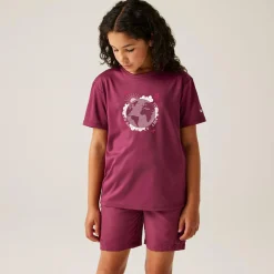Kids Regatta Staycation|Tops<Kids' Alvarado IX T-Shirt |
