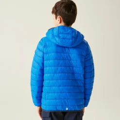 Kids/BOY Regatta Jackets & Coats<Kids' Hooded Marizion Baffled Jacket |