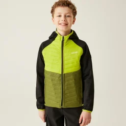 Kids/BOY Regatta Jackets & Coats<Kids' Kielder Hybrid VIII Jacket |