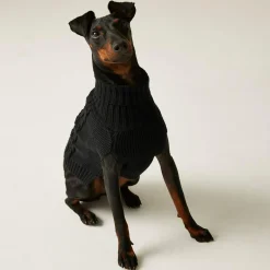 Regatta Dog Coats|Camping<Knitted Dog Jumper |