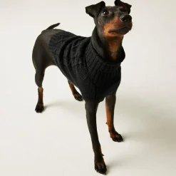 Regatta Dog Coats|Camping<Knitted Dog Jumper |