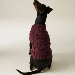 Regatta Dog Coats|Camping<Knitted Dog Jumper |