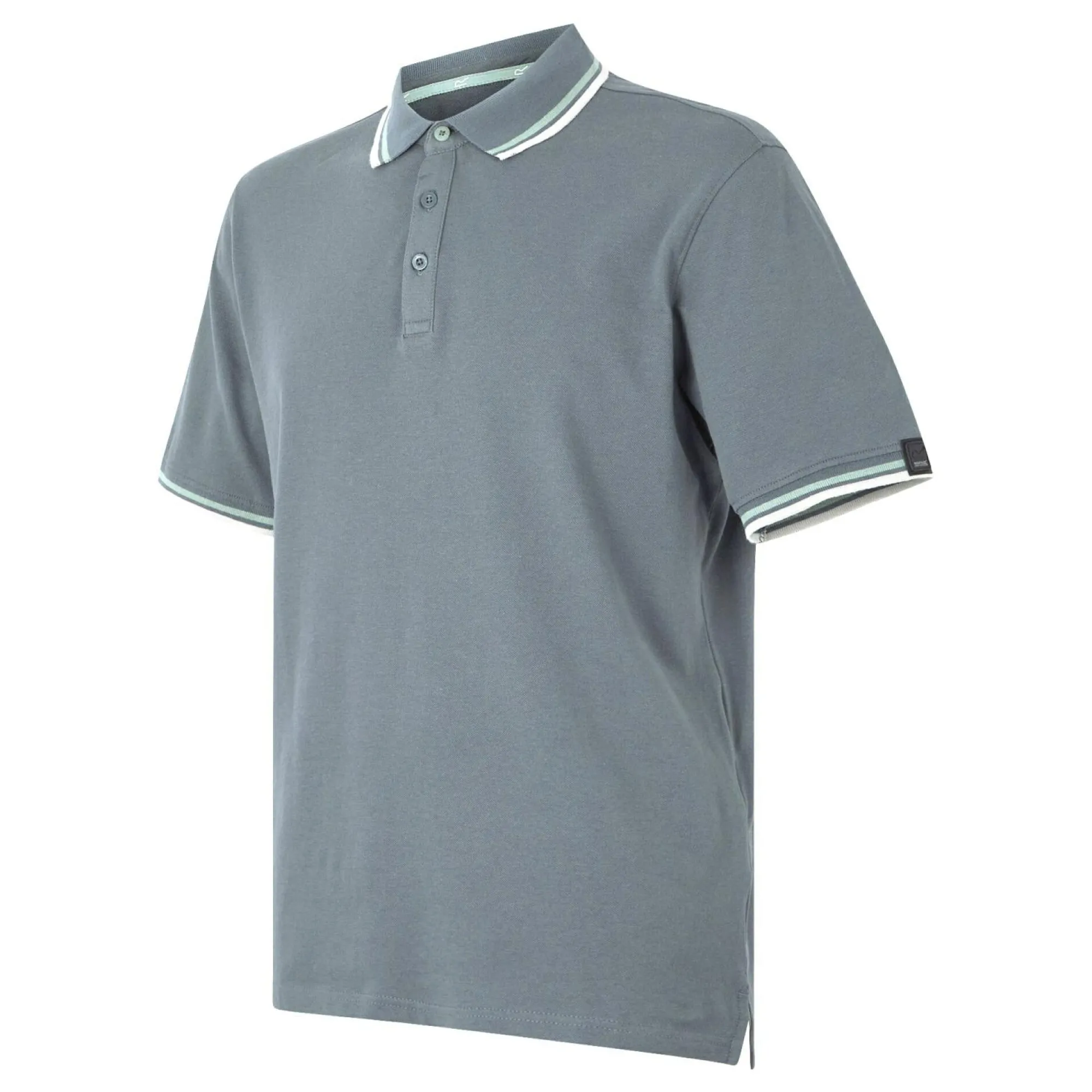 Regatta Staycation|Festival<Men's Adryan Polo Shirt |