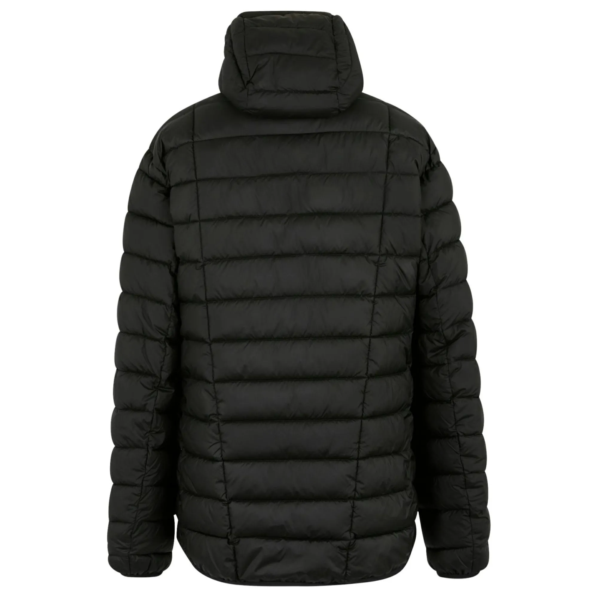 Regatta Padded Jackets<Men's Asper Padded Jacket |