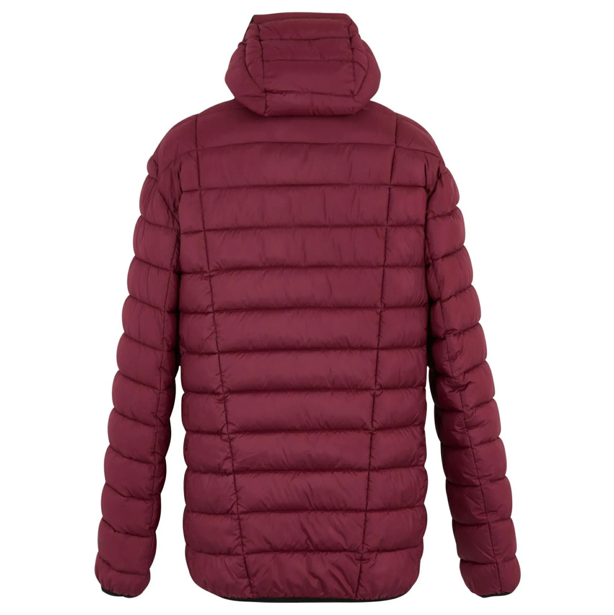 Regatta Padded Jackets<Men's Asper Padded Jacket |