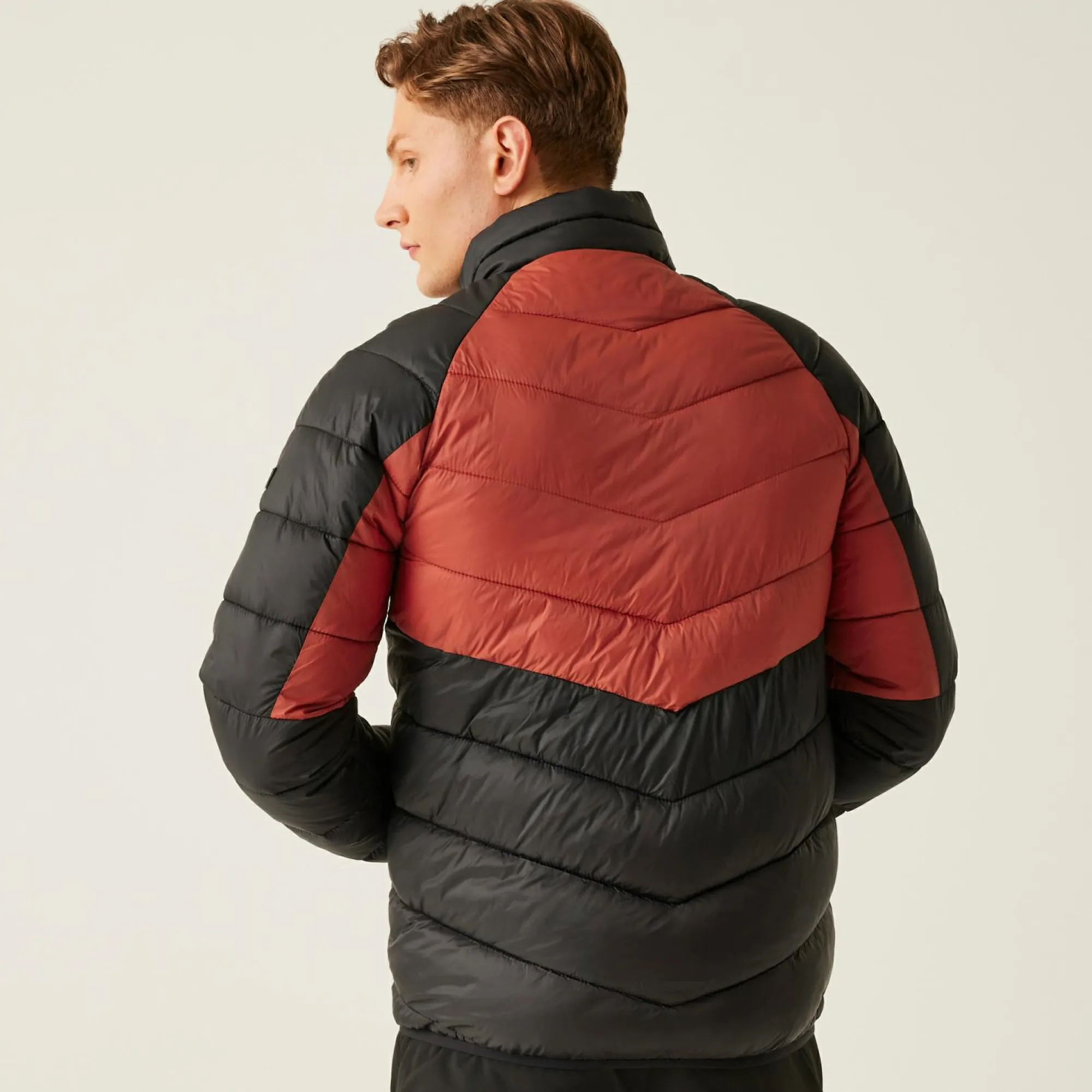 Regatta Padded Jackets<Men's Dalent Padded Jacket |