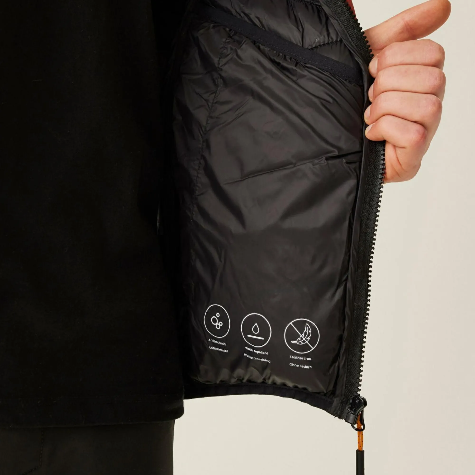 Regatta Padded Jackets<Men's Dalent Padded Jacket |