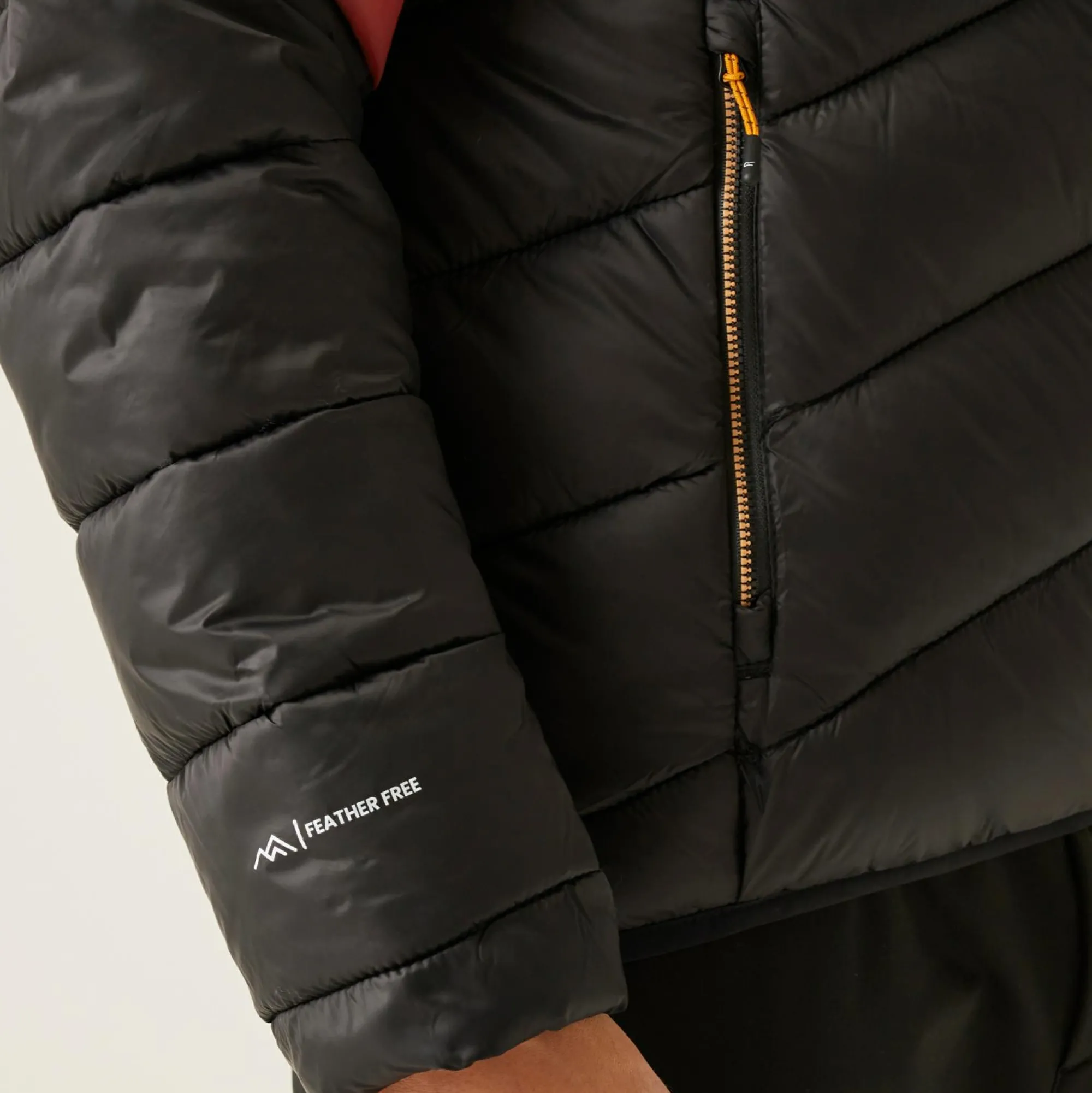 Regatta Padded Jackets<Men's Dalent Padded Jacket |