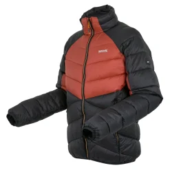 Regatta Padded Jackets<Men's Dalent Padded Jacket |