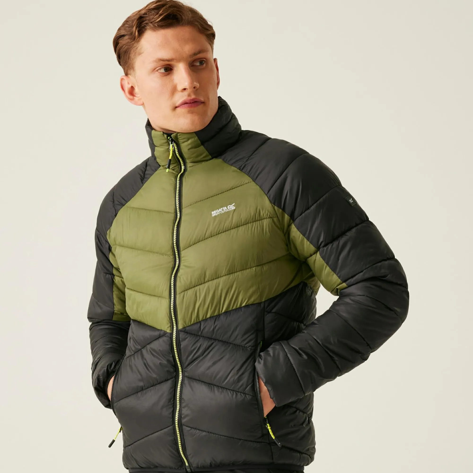 Regatta Padded Jackets<Men's Dalent Padded Jacket |