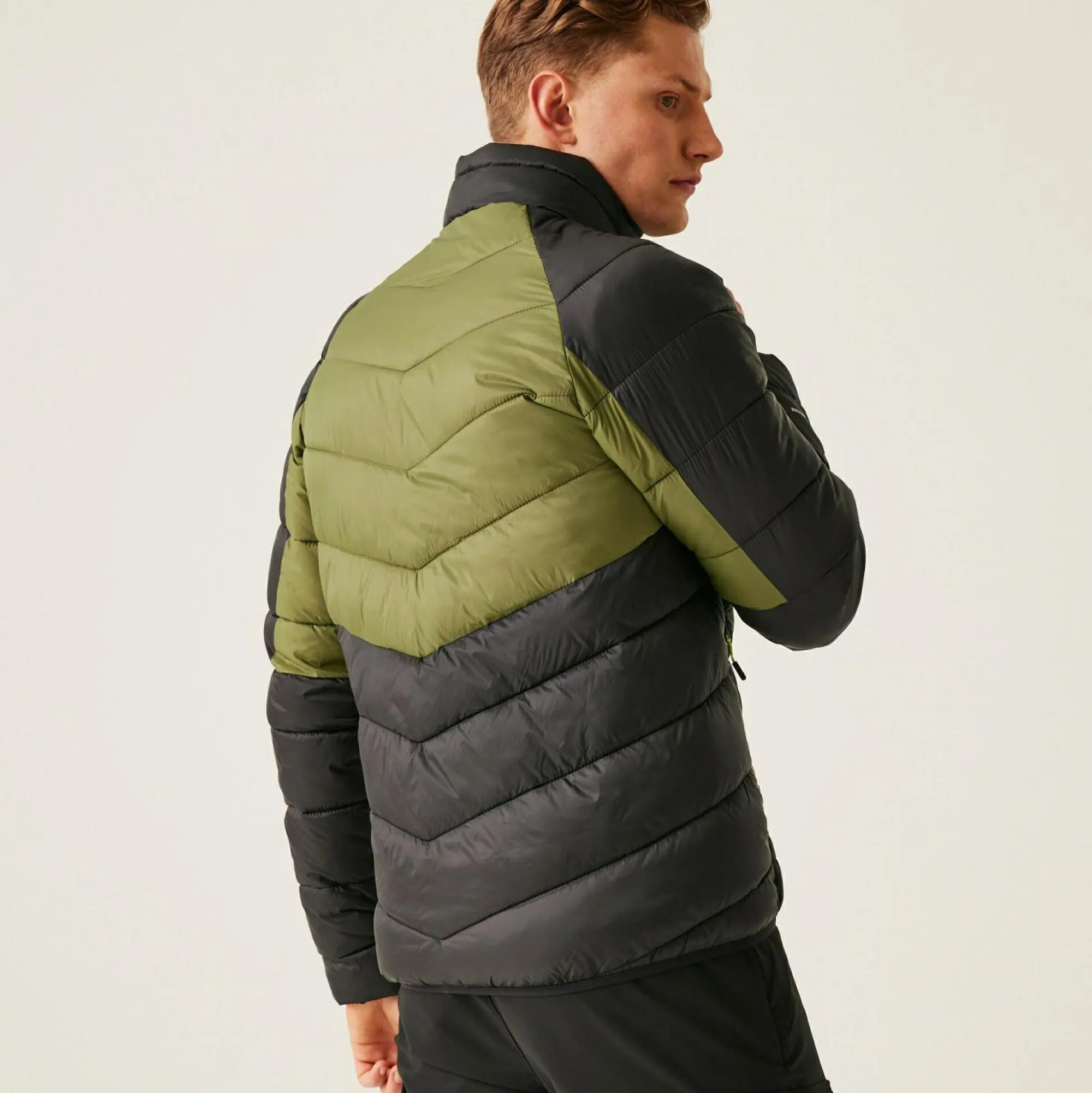 Regatta Padded Jackets<Men's Dalent Padded Jacket |