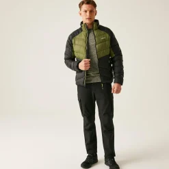 Regatta Padded Jackets<Men's Dalent Padded Jacket |