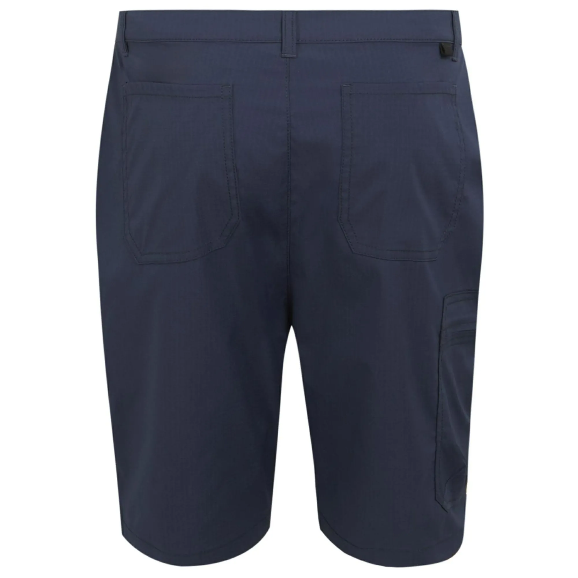 Regatta Shorts|Shorts<Men's Dalry Multi Pocket Shorts |