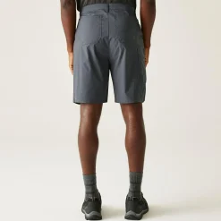 Regatta Shorts|Shorts<Men's Dalry Multi Pocket Shorts |