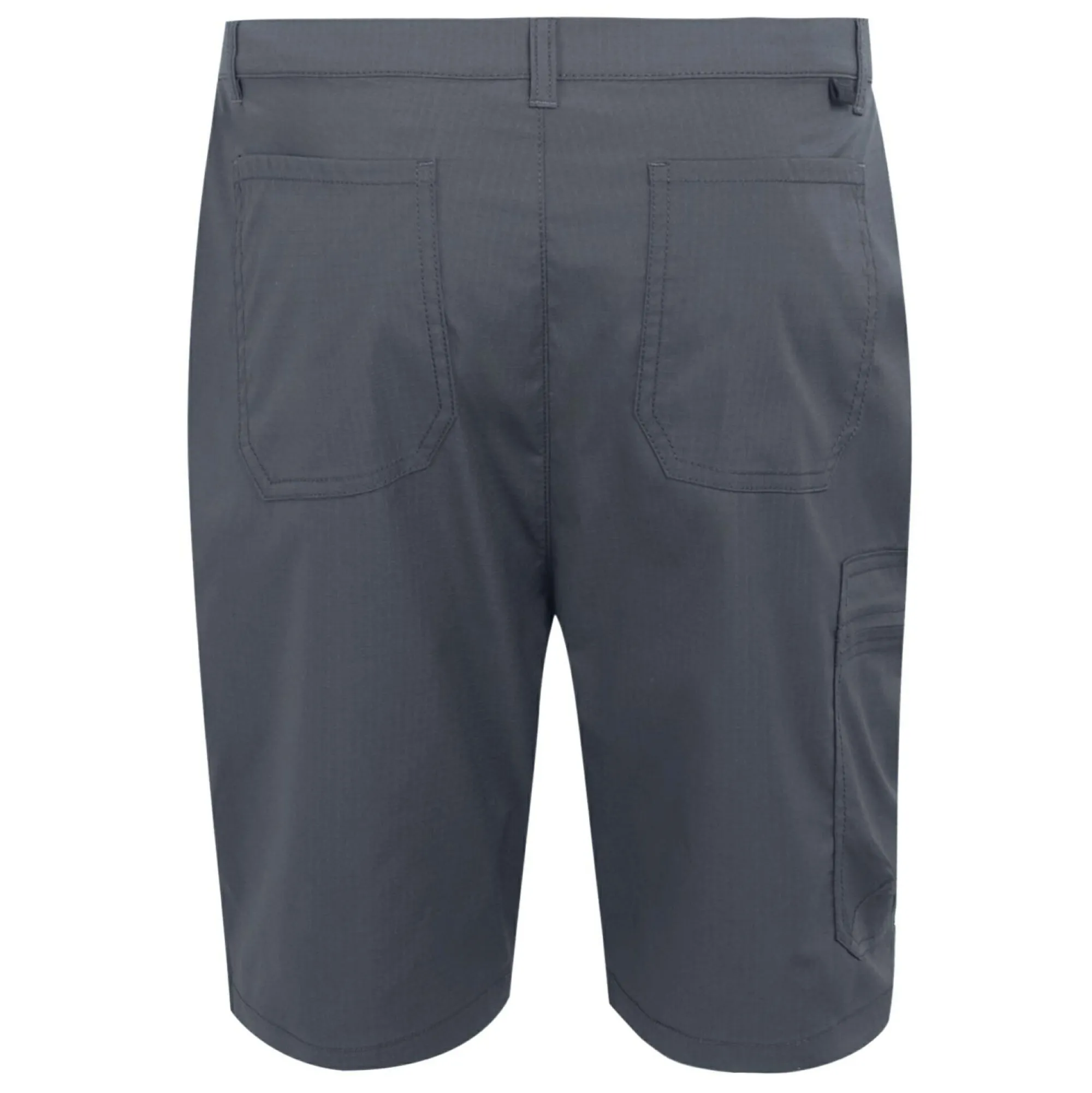 Regatta Shorts|Shorts<Men's Dalry Multi Pocket Shorts |