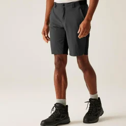 Regatta Staycation|Festival<Men's Eldes Walking Shorts  |