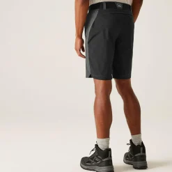 Regatta Staycation|Festival<Men's Eldes Walking Shorts  |