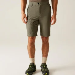 Regatta Shorts|Festival<Men's Highton II Long Walking Shorts  |