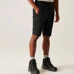 Regatta Shorts|Festival<Men's Highton II Long Walking Shorts  |