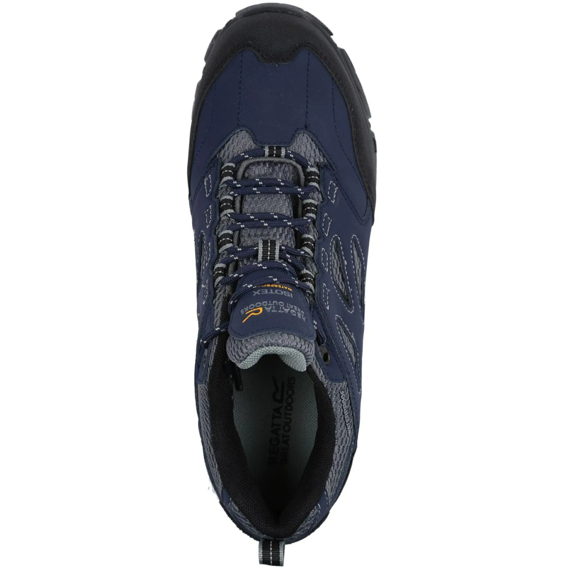 Regatta Walking Shoes<Men's Holcombe Waterproof Low Walking Shoes |
