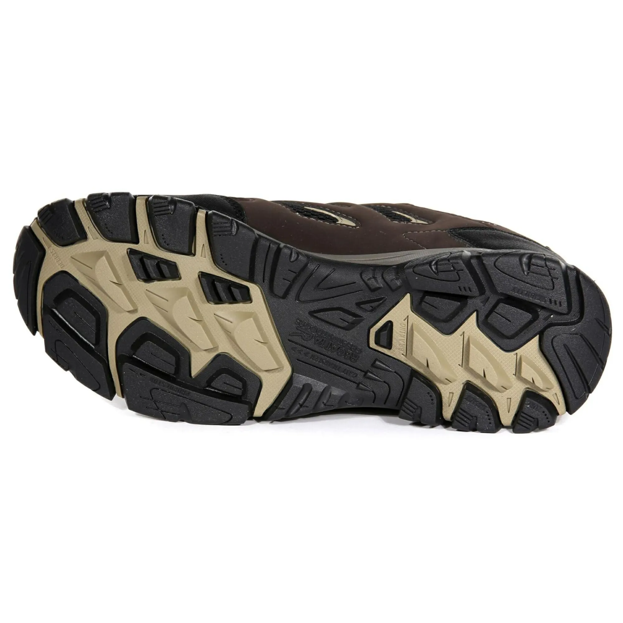 Regatta Walking Shoes<Men's Holcombe Waterproof Low Walking Shoes |