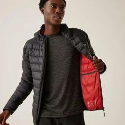 Regatta Padded Jackets|Lightweight Jackets<Men's Hooded Marizion Padded Jacket |
