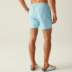 Regatta Swimming|Swim Shorts<Men's Loras Swim Shorts |