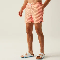 Regatta Staycation|Festival<Men's Loras Swim Shorts |