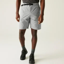 Regatta Staycation|Festival<Men's Mallen Shorts |