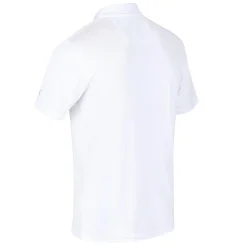 Regatta Festival<Men's Maverick V Active Polo Shirt |