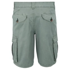 Regatta Shorts|Shorts<Men's Ruwan Casual Shorts |