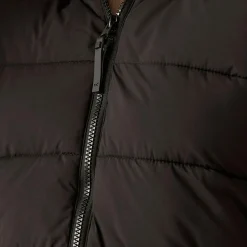 Women Regatta Padded Jackets<Women's Elender Baffled Jacket |