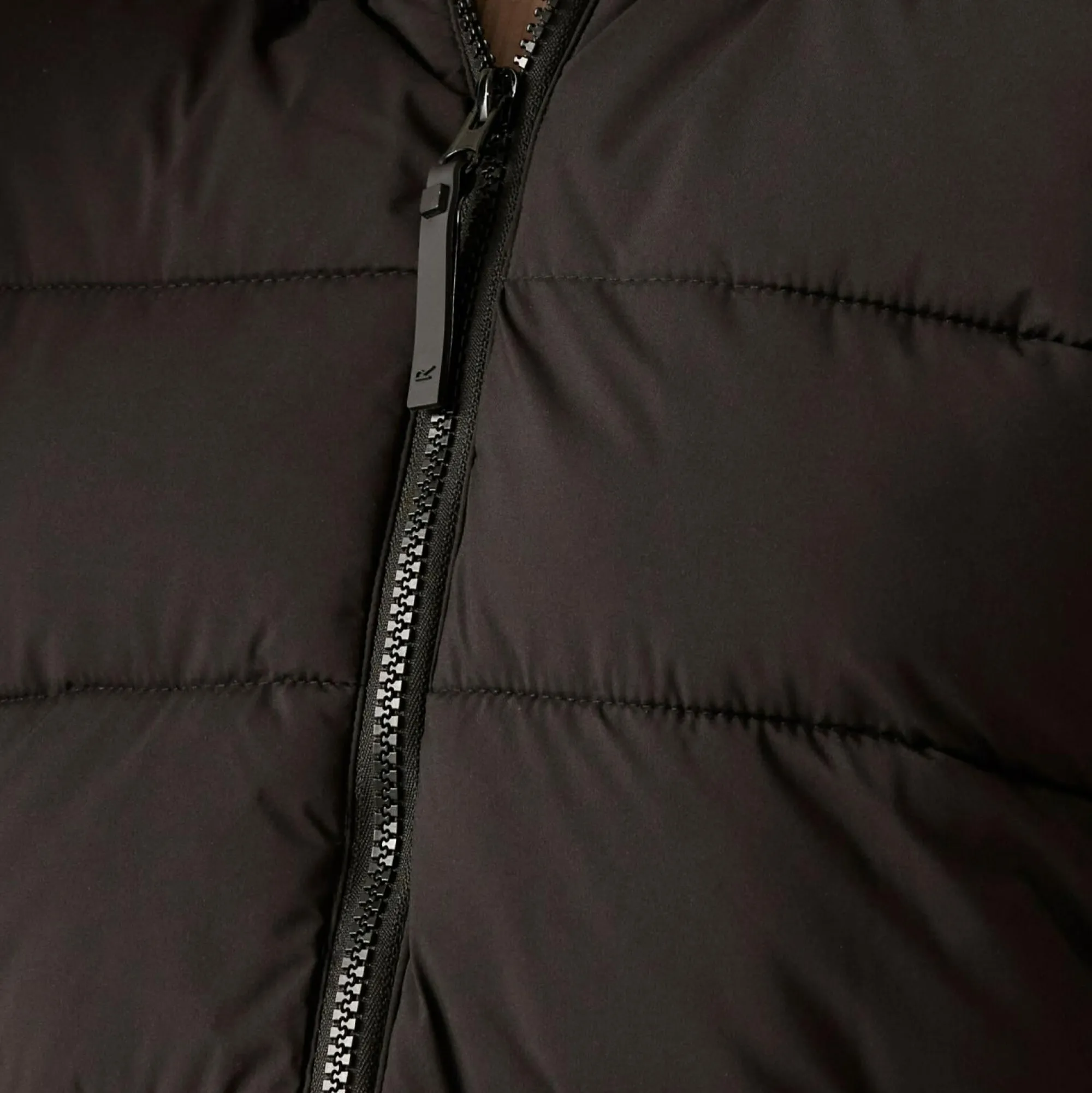 Women Regatta Padded Jackets<Women's Elender Baffled Jacket |